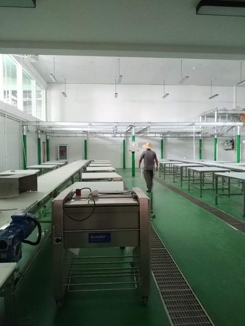 凱斯樂屠宰設(shè)備與肉類深加工設(shè)備成功落戶云南某廠，全面進(jìn)入安裝調(diào)試階段