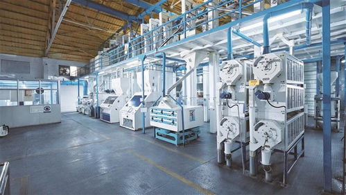 盛寶盛妝亮相深圳博覽會(huì) 科技賦能高端食品與農(nóng)產(chǎn)品新未來